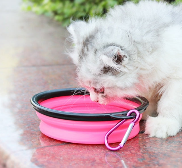Outdoor Travel 2 in 1 Folding Feeder Bowl and Pet Water Bottle