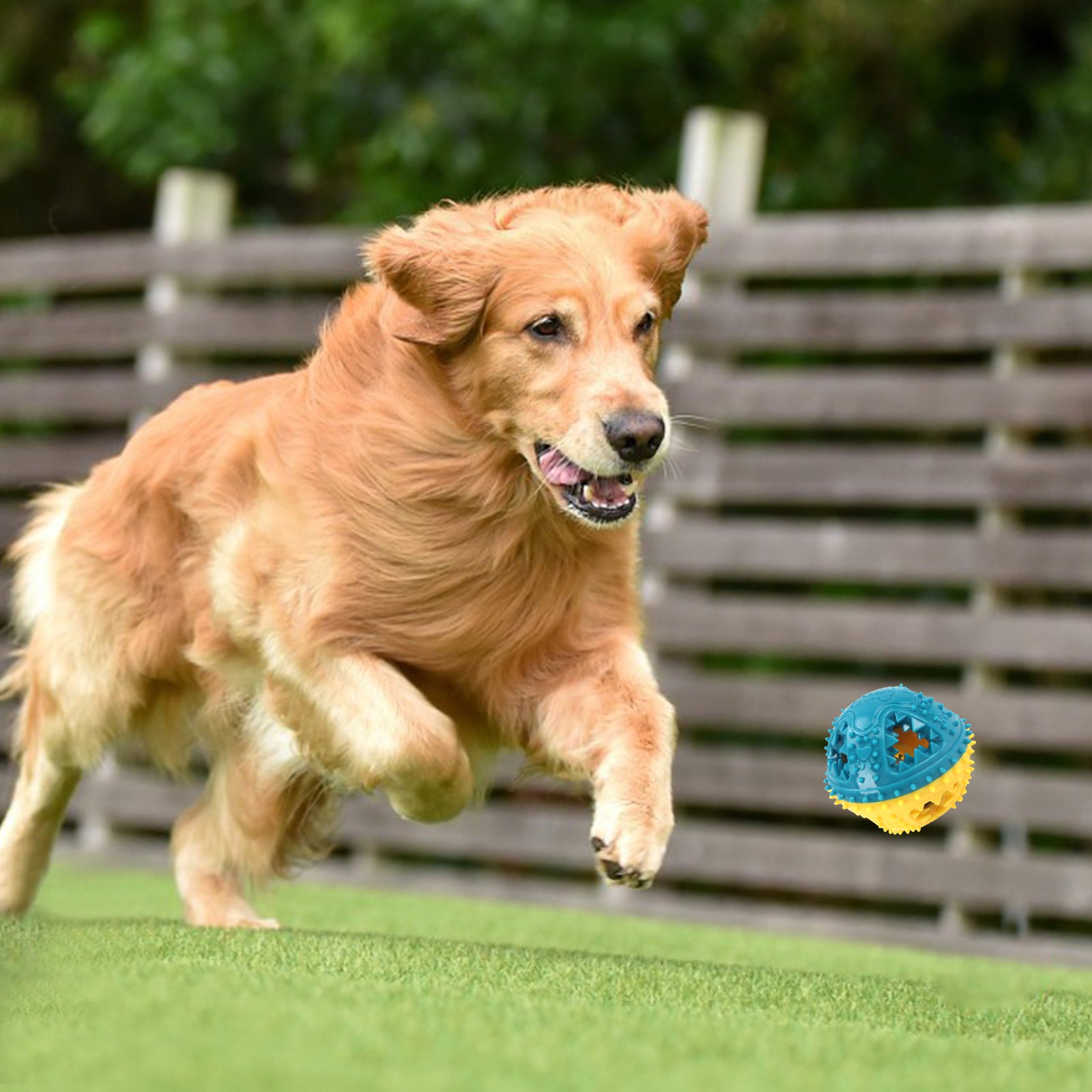 Dog Treat Dispensing Chew Ball