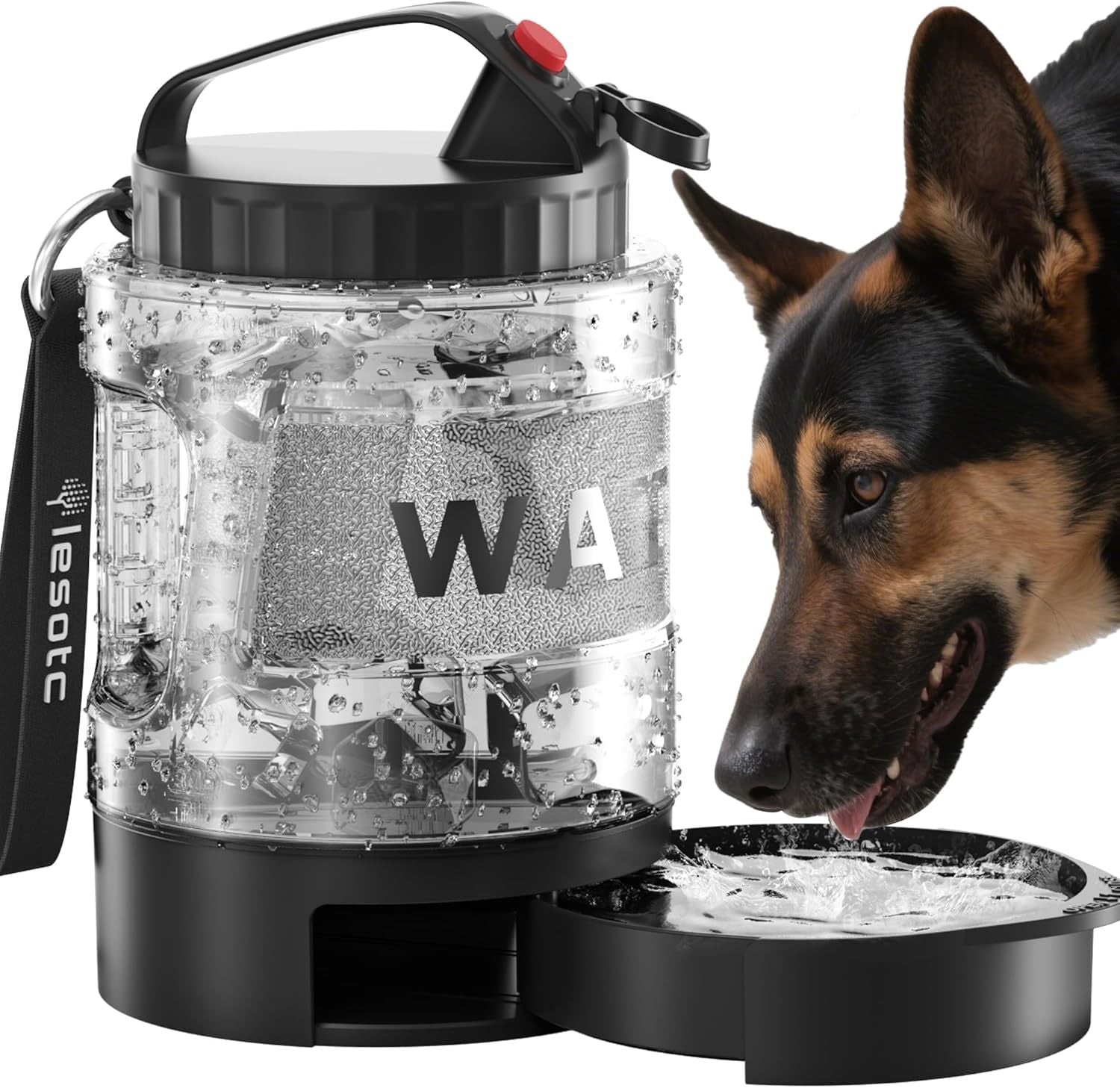 On-The-Go Convenient Hydration with Dog Portable Water Bottle