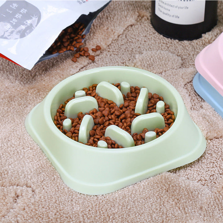 Non-Slip and Durable Best Slow Feeder Dog Bowl for Fun Mealtime