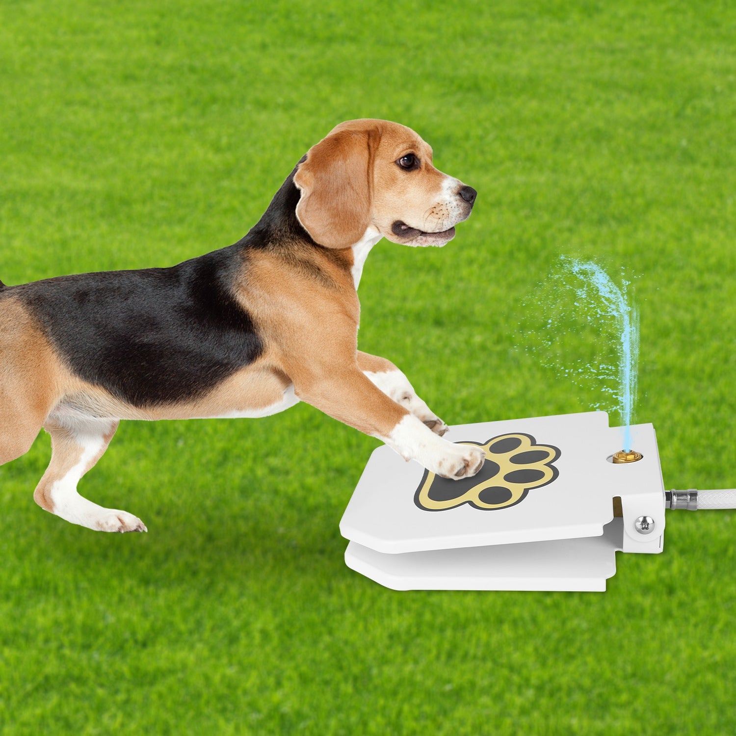 Outdoor Step On Dog Water Fountain with Paw Pedal