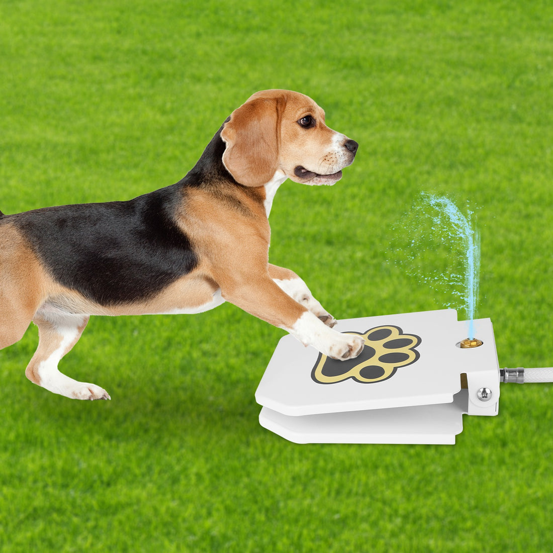 Outdoor Step On Dog Water Fountain with Paw Pedal