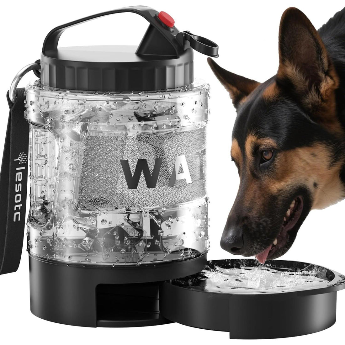 On-The-Go Convenient Hydration with Dog Portable Water Bottle