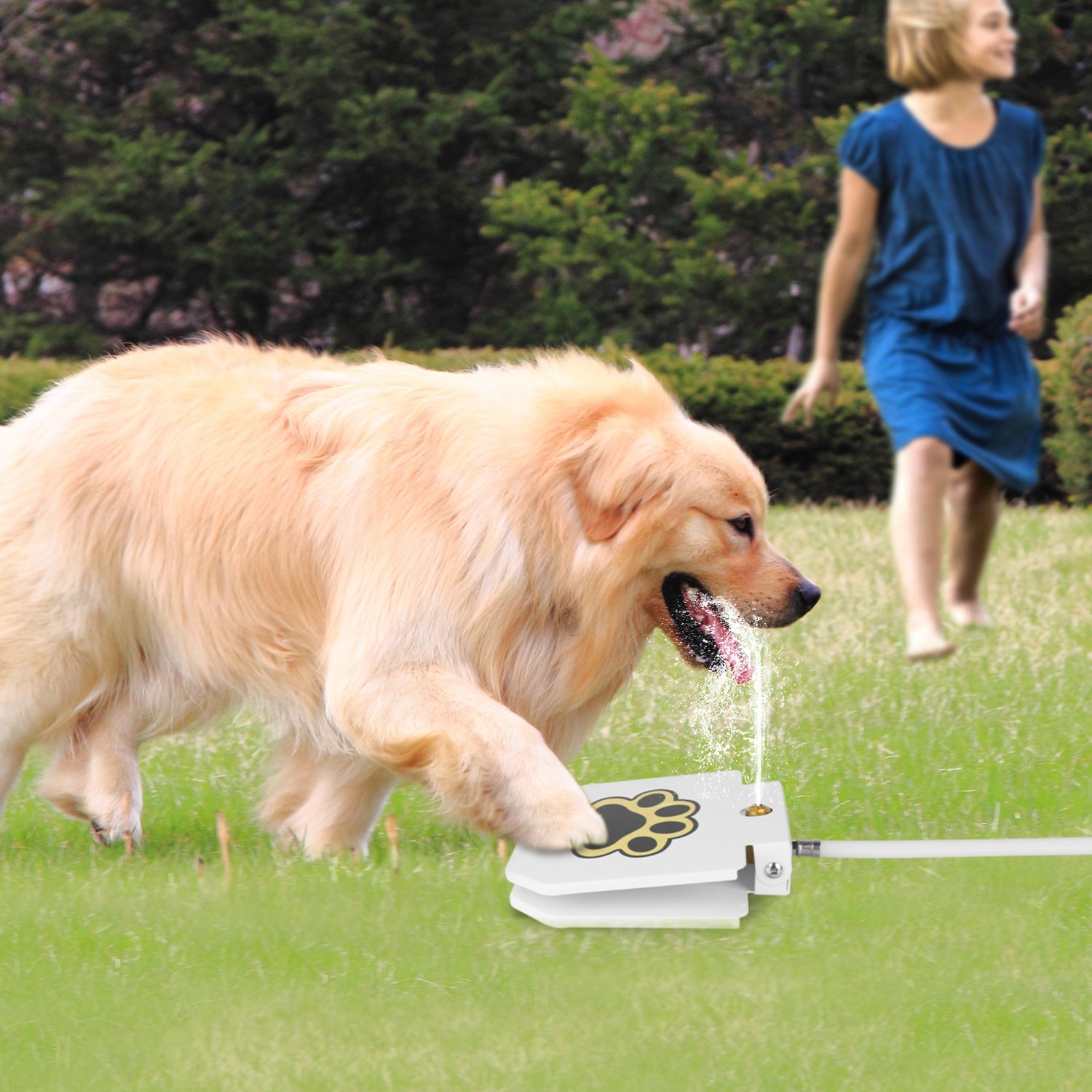 Outdoor Step On Dog Water Fountain with Paw Pedal