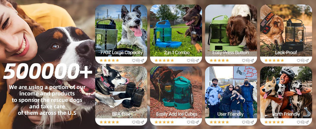 On-The-Go Convenient Hydration with Dog Portable Water Bottle