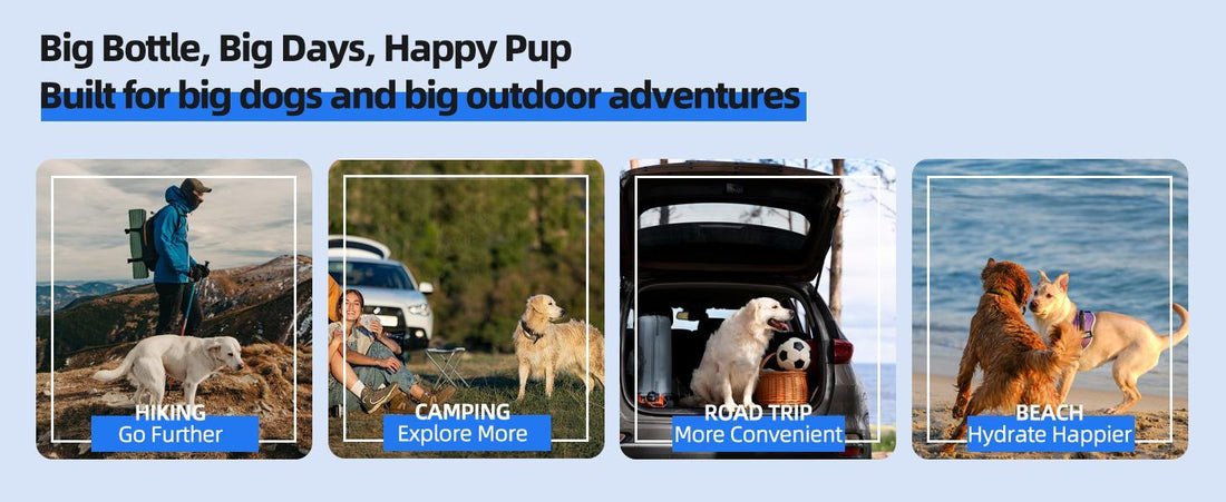 On-The-Go Convenient Hydration with Dog Portable Water Bottle