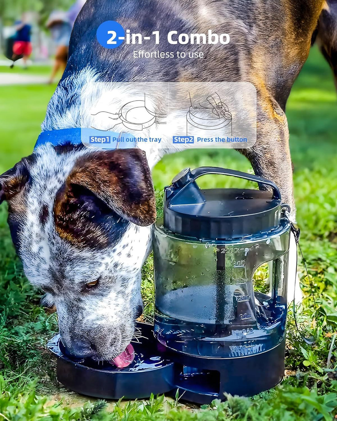 On-The-Go Convenient Hydration with Dog Portable Water Bottle