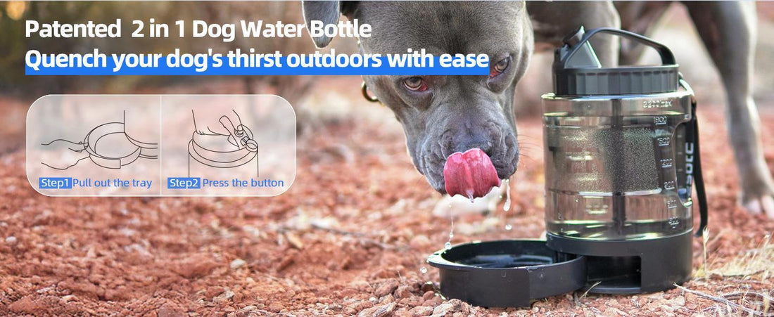 On-The-Go Convenient Hydration with Dog Portable Water Bottle