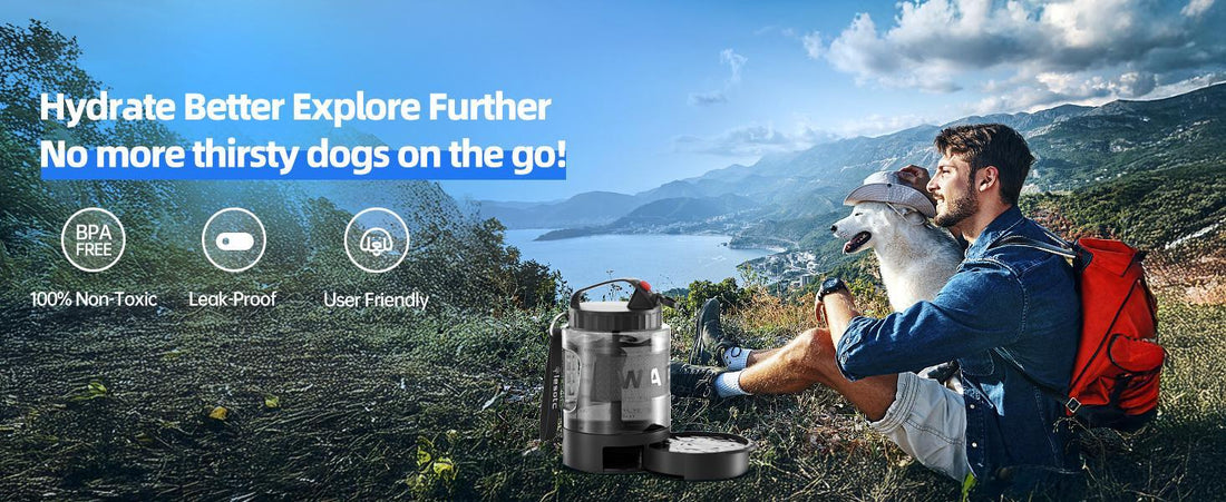On-The-Go Convenient Hydration with Dog Portable Water Bottle
